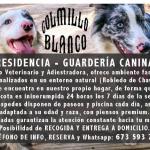 Guardería Canina Colmillo Blanco