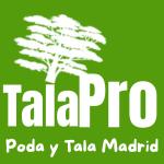 Talapro  Poda Y Tala Madrid