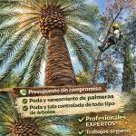 Podasverticallevante