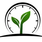 Time In Time In