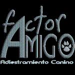 Factor Amigo  Adiestramiento Canino Zaragoza