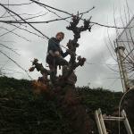Jardins And Life Jardins And Life