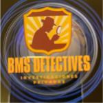Bms Investigaciones