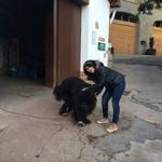 Maria Funes Maria Funes