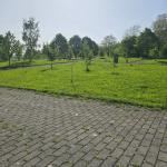 Félix Albañileria Y Pintura