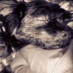 Hugo Garcia Lopez Hugo Garcia Lopez