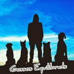 Gossos Equilibrats Gossos Equilibrats