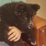 Aintzane Bautista Fernandez