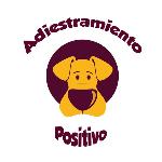 Caroline Sanches Adiestramiento Positivo Caroline Sanches Adiestramiento Positivo