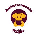 Caroline Sanches Adiestramiento Positivo