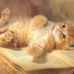 Meri Martinez Meri Martinez