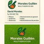 Morales Guillén Multiservicios