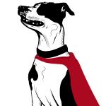Super Dogs Paseador De Perros Super Dogs Paseador De Perros