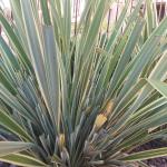 Limpieza Y Jardinería Ragumo Slu Limpieza Y Jardinería Ragumo Slu