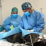 Paola Campos Paola Campos