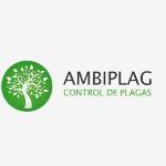 Ambiplag Ambiplag