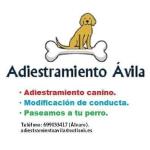 Adiestramiento Ávila Álvaro