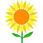 Centro Girasol Centro Girasol