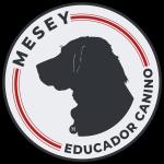 Mesey Dog Trainer