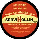 Servihollin