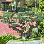 Jardinplus Jardinplus