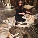 Aroa Educarotxe Adiestramiento