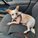 Alfredo Vélez Romero Alfredo Vélez Romero