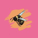 Let It Bee Let It Bee