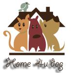 Homeudog Estepona Dog Boardingguarderia Canina