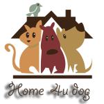 Homeudog Estepona Dog Boardingguarderia Canina Homeudog Estepona Dog Boardingguarderia Canina