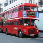 Ana María Ana María