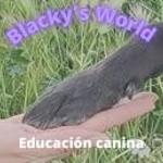 Blackys World Olga Blackys World Olga