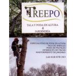 Treepo Tala Y Poda En Altura  Jardineria