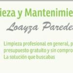 Servicio De Limpieza Y Mantenimiento Loayza Paredes