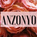 Anzonyo Studio Anzonyo Studio