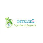 Intelges Intelges
