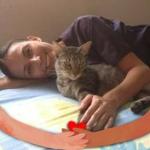 Lizbet Diaz Arellanos Lizbet Diaz Arellanos