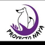 Proyecto Naya