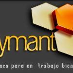 Reformas Y Mantenimientos Reymant Sl
