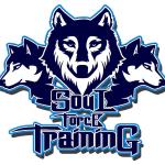 Soul Force Training
