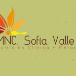 Nutricionista Sofia Valle Nutricionista Sofia Valle