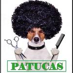 Patucas Peluqueria Canina Patucas Peluqueria Canina