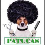 Patucas Peluqueria Canina