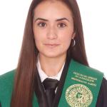 Maestra De Educación Infantil Maestra De Educación Infantil