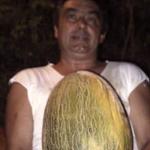 Benito Alfaro Benito Alfaro