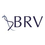 Brv Ingeniería