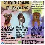 Peluquera Canina Patitasviajeras A Domicilio