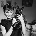 Carla Madrid Rubio Carla Madrid Rubio