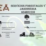 Ea Servicios Forestales Jardinería Y Construcción