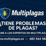 Multiplagas Multiplagas